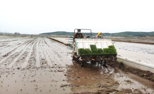 14 J9.COM农业水稻插秧现场_副本.png